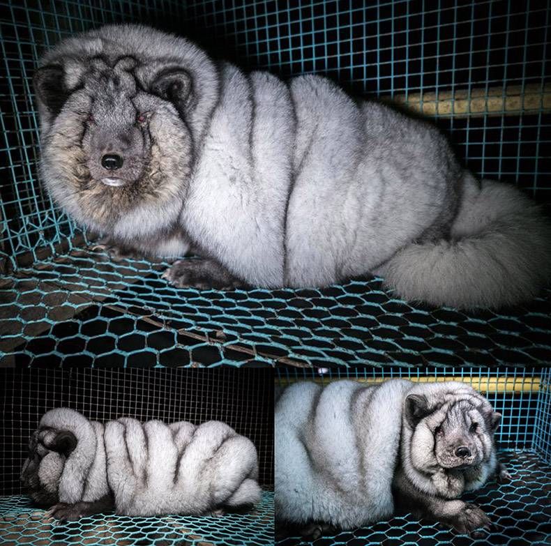 Gewoon een verzameling hilarische foto’s #858