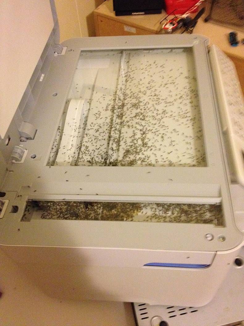 Gewoon een verzameling hilarische foto's #806