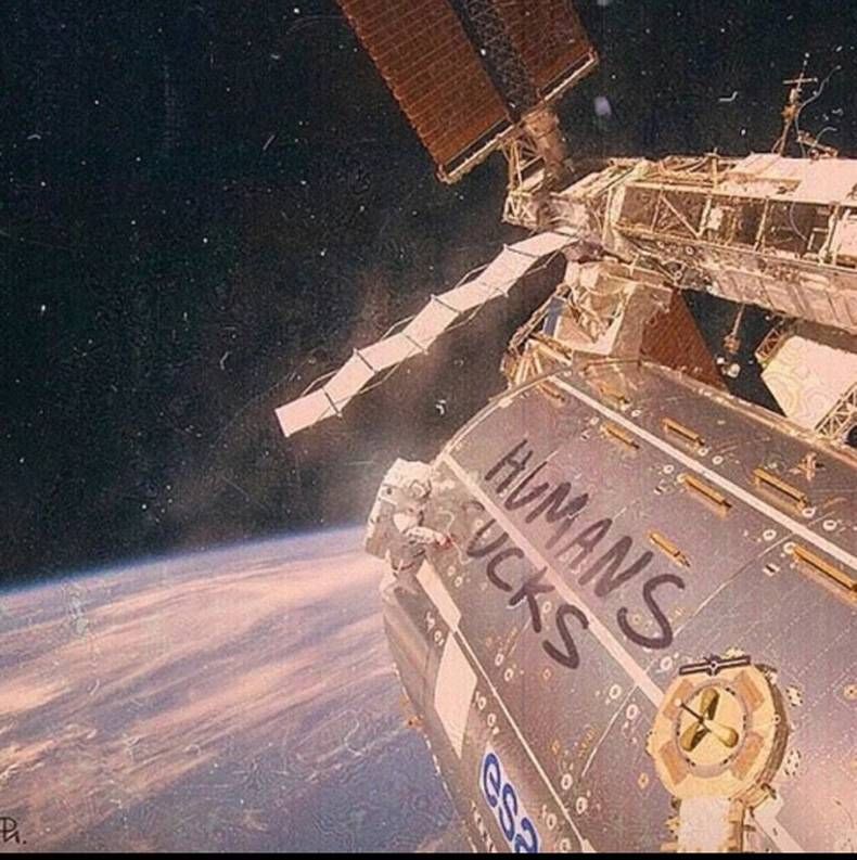 Gewoon een verzameling hilarische foto's #730