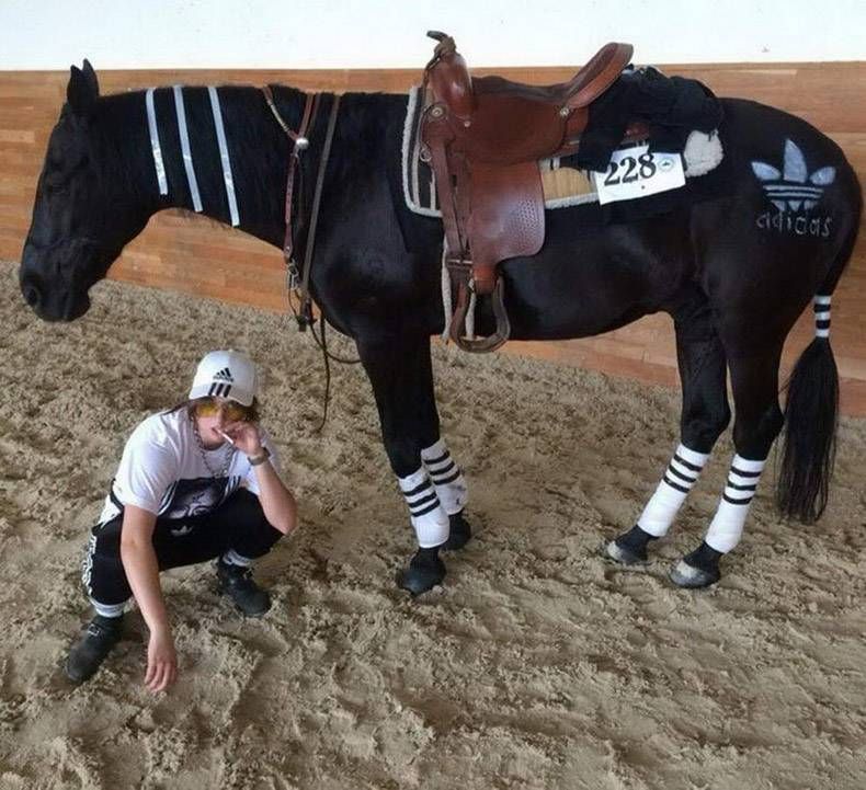 Gewoon een verzameling hilarische foto's #1346