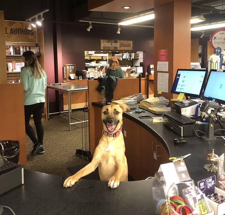 Gewoon een verzameling hilarische foto's #1240