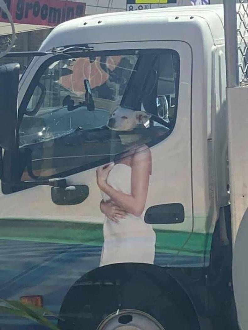 Gewoon een verzameling hilarische foto's #1216