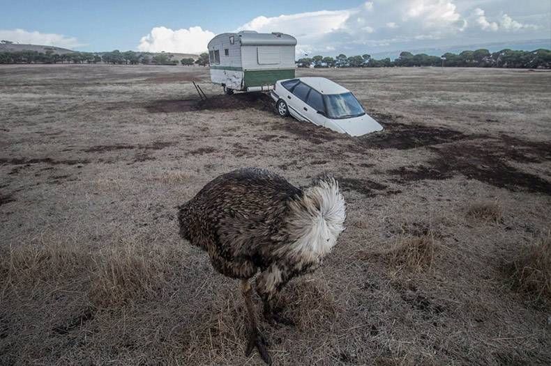 Gewoon een verzameling hilarische foto's #1152