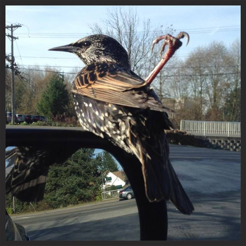 Gewoon een verzameling hilarische foto's #1024