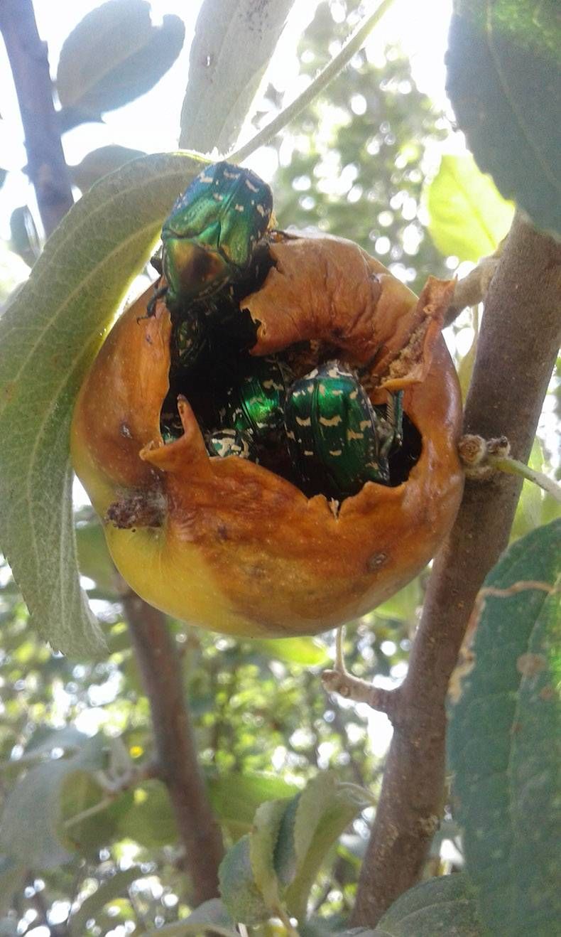 Gewoon een verzameling hilarische foto’s #858