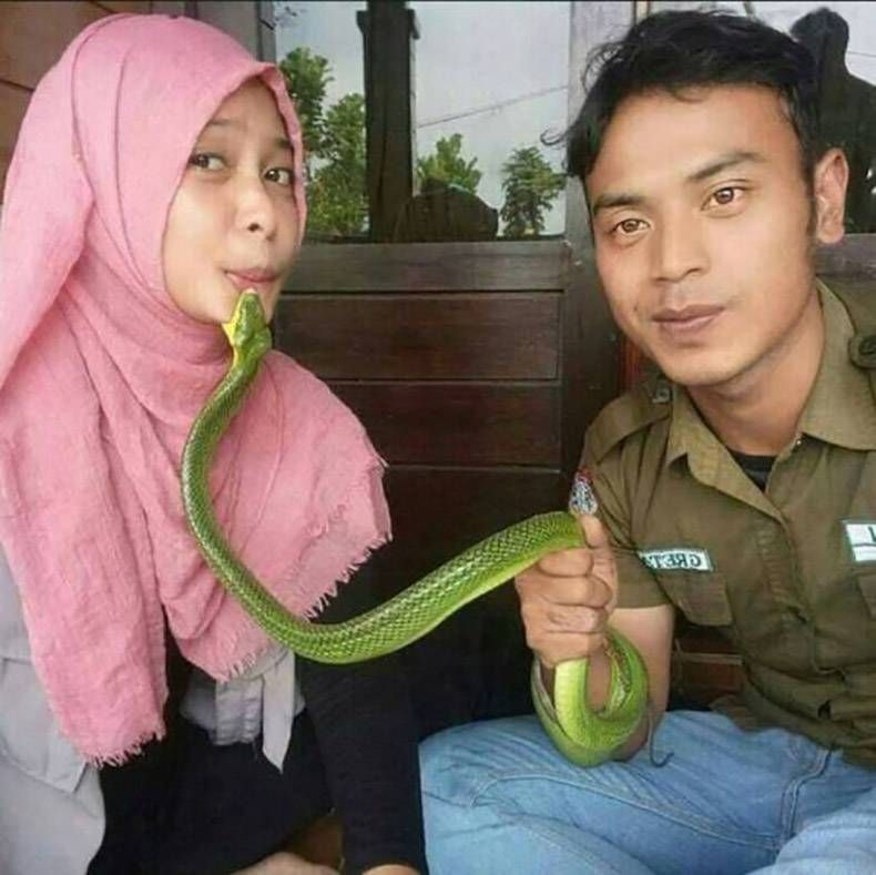 Gewoon een verzameling hilarische foto's #826