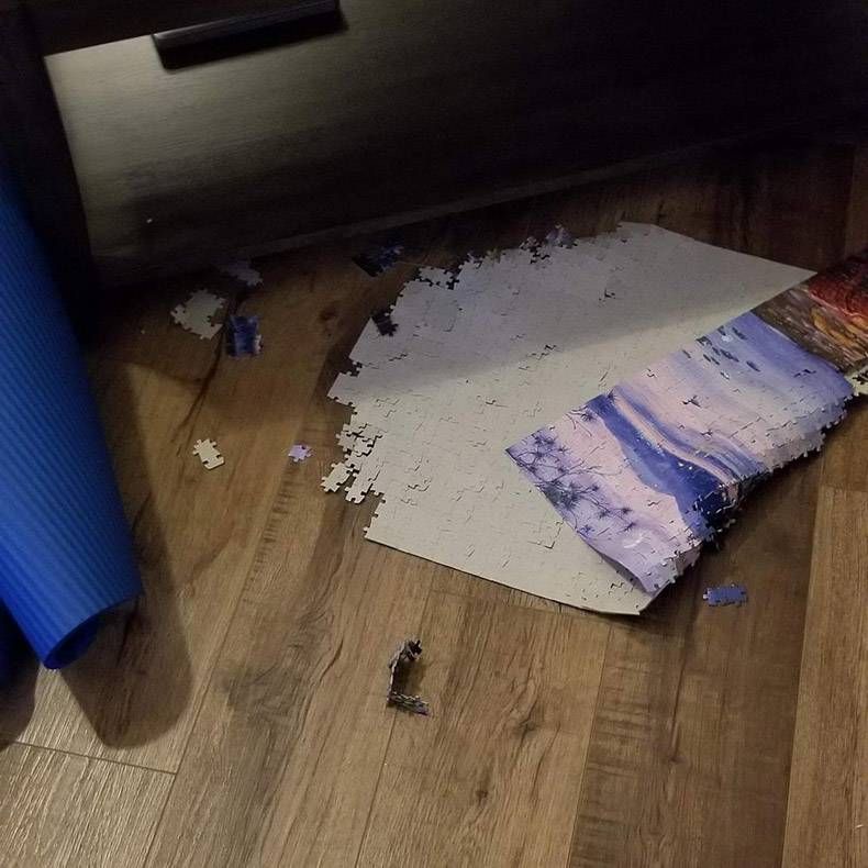 Gewoon een verzameling hilarische foto’s #1336