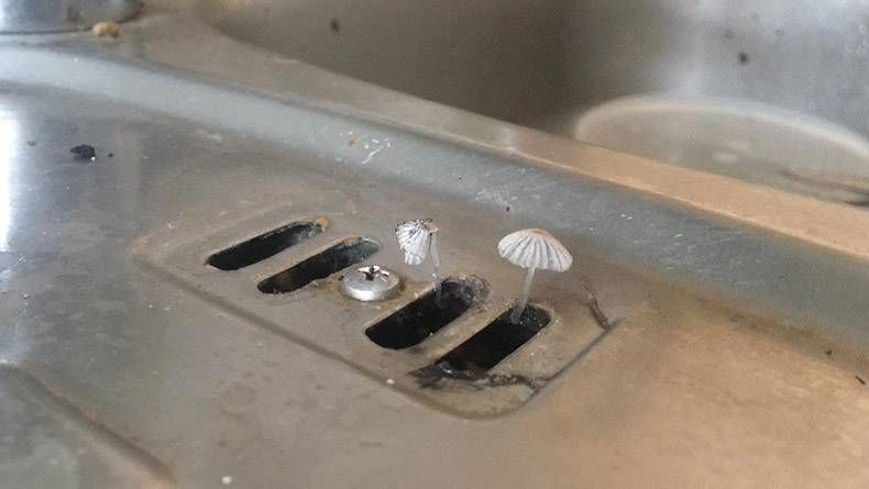 Gewoon een verzameling hilarische foto's #1287