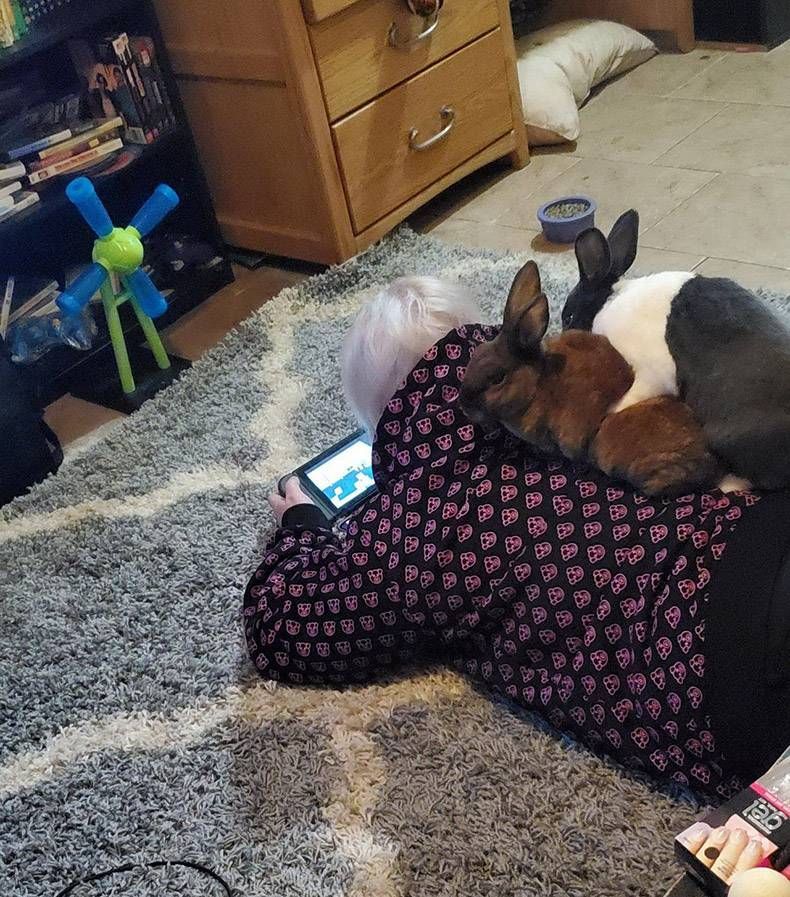 Gewoon een verzameling hilarische foto's #1240