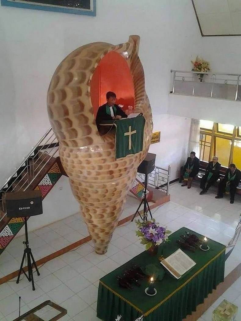 Gewoon een verzameling hilarische foto's #1159