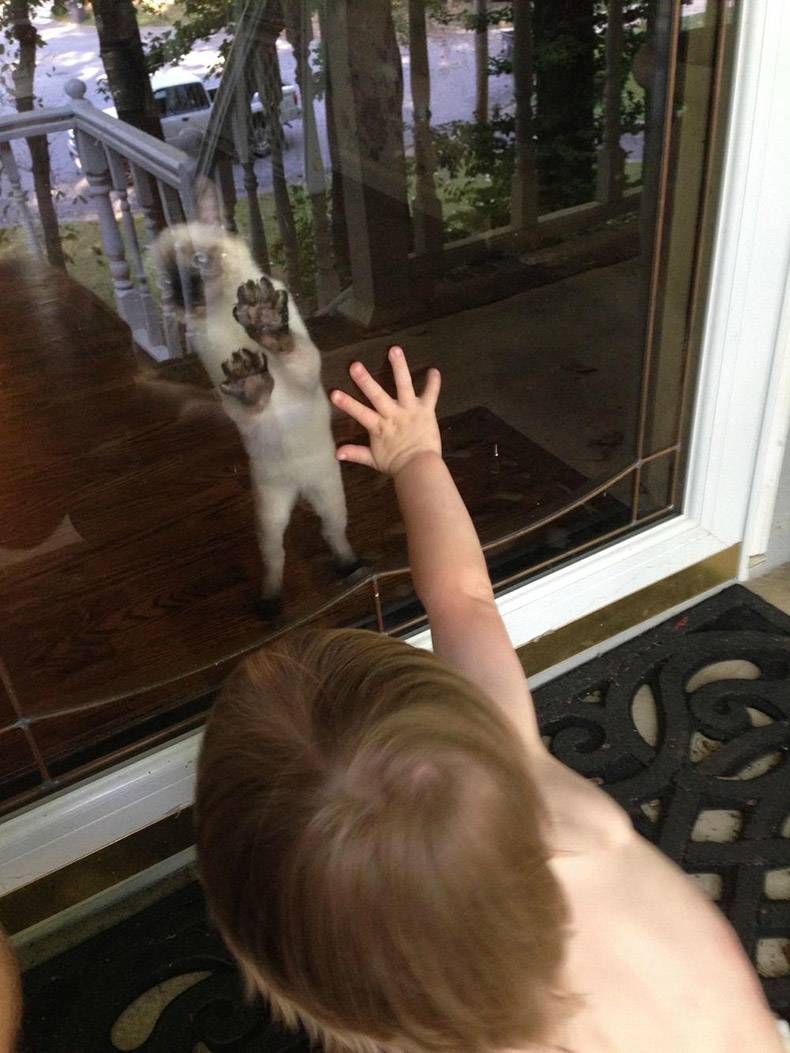 Gewoon een verzameling hilarische foto's #1128