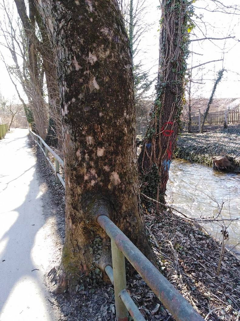 Gewoon een verzameling hilarische foto's #1096