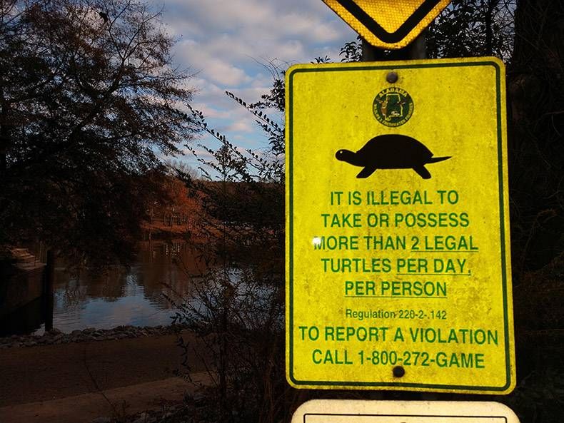 Gewoon een verzameling hilarische foto's #1069