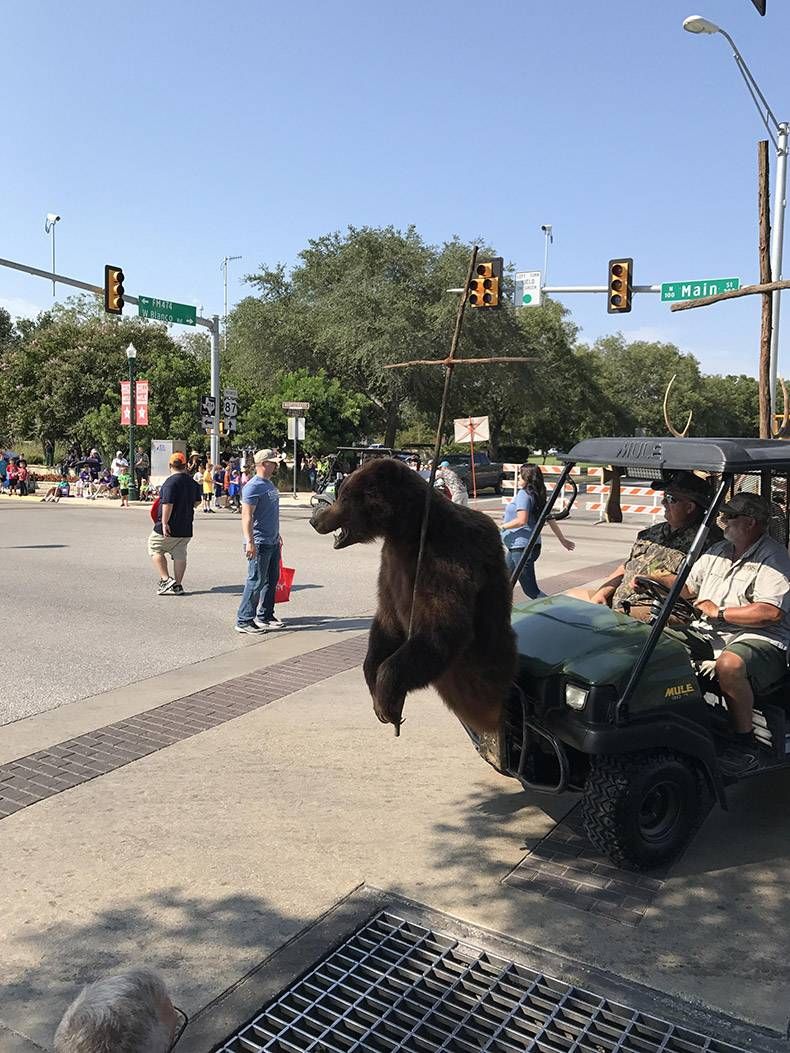 Gewoon een verzameling hilarische foto's #863