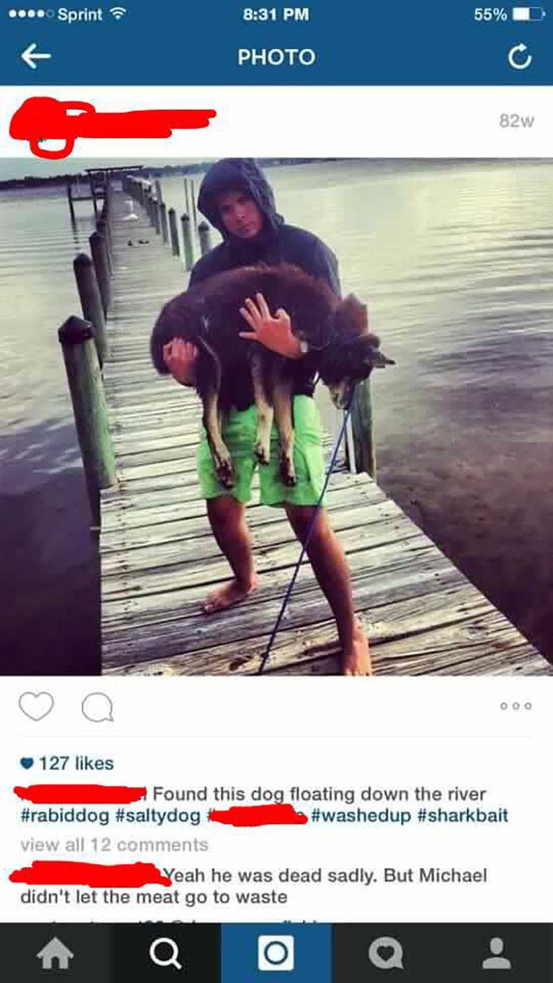 Gewoon een verzameling hilarische foto's #845