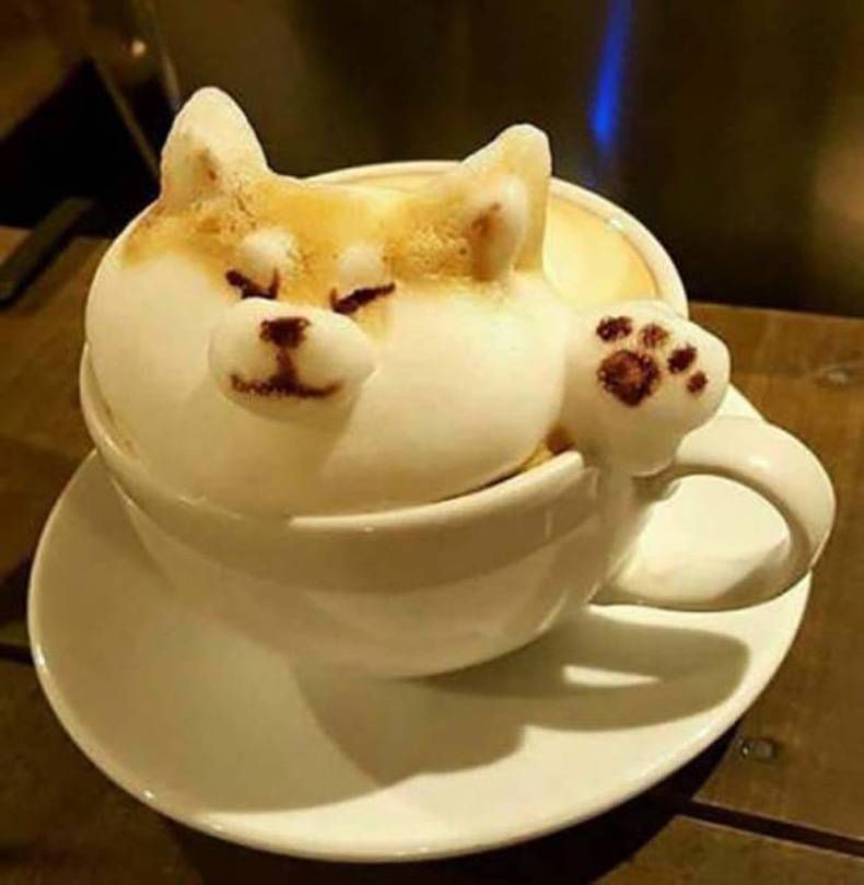 Gewoon een verzameling hilarische foto's #728