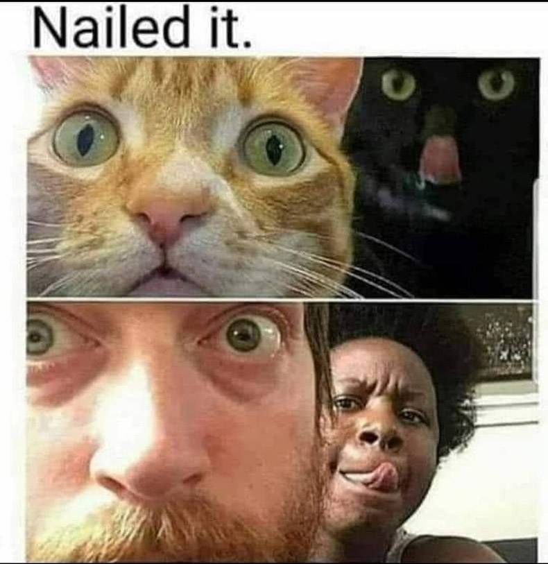 Gewoon een verzameling hilarische foto’s #1370