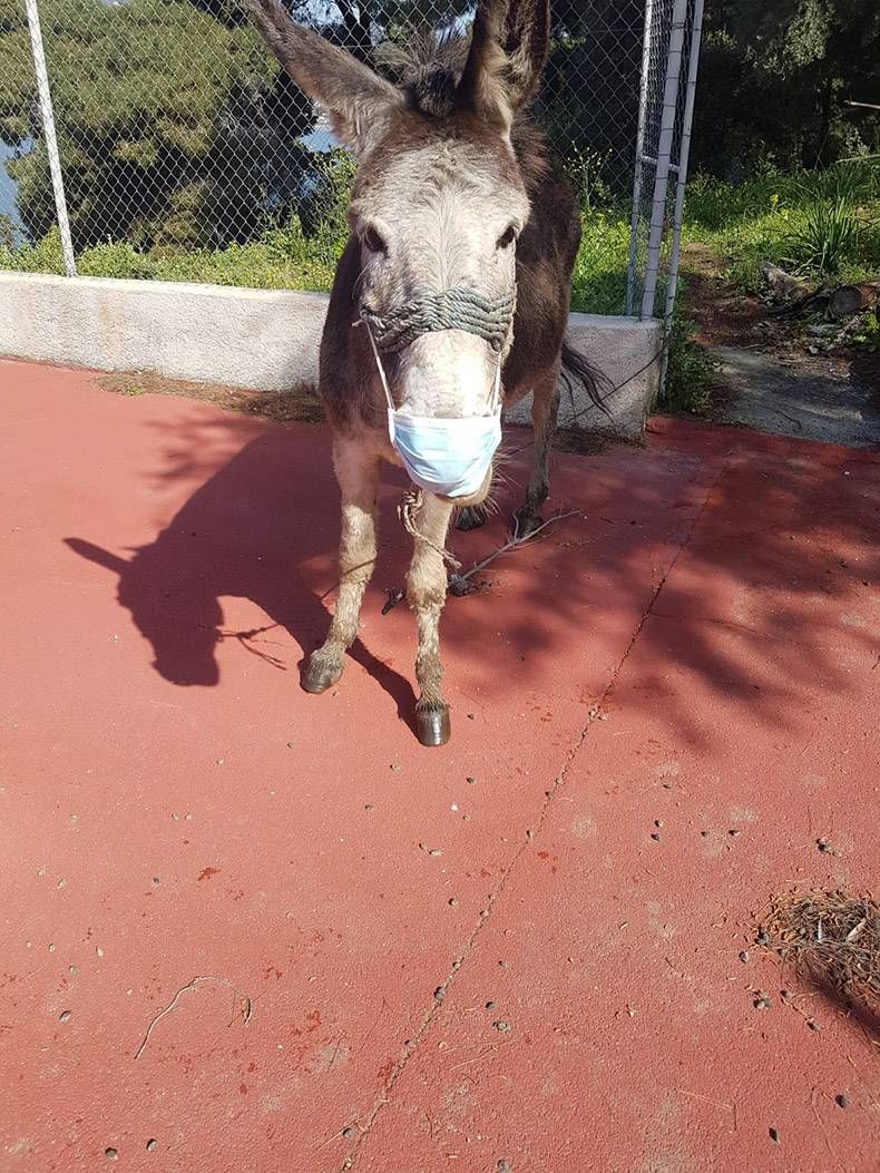 Gewoon een verzameling hilarische foto's #1265