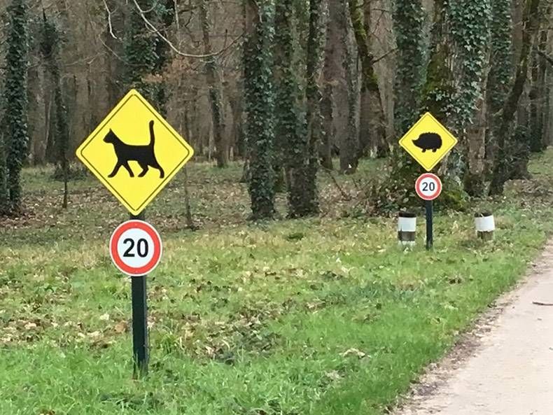 Gewoon een verzameling hilarische foto's #1199