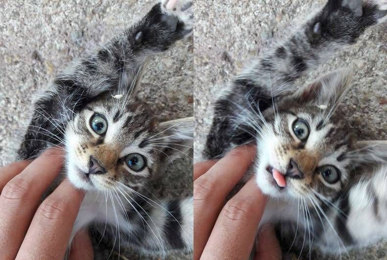 Gewoon een verzameling hilarische foto's #1168