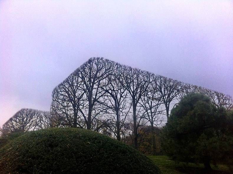 Gewoon een verzameling hilarische foto's #1088