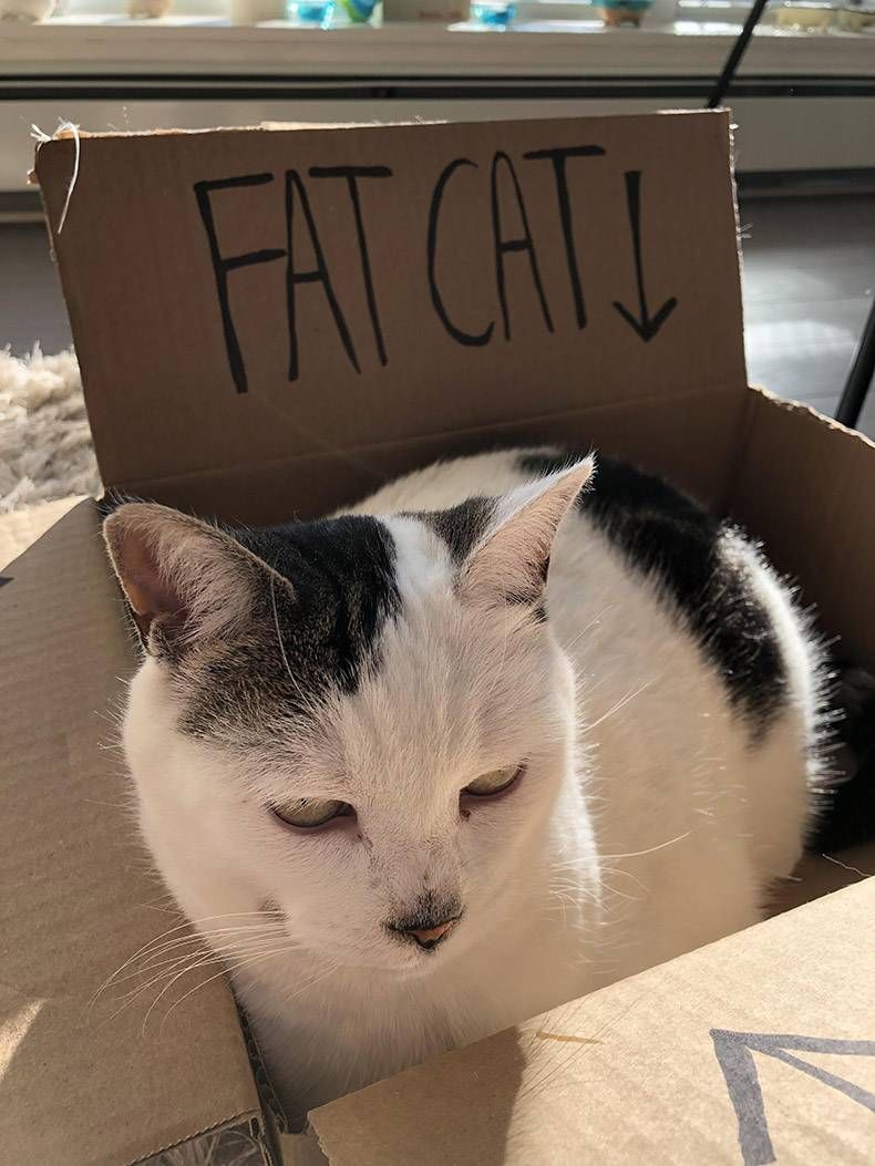 Gewoon een verzameling hilarische foto's #1069