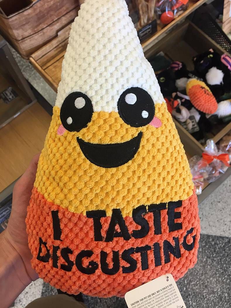 Gewoon een verzameling hilarische foto's #874