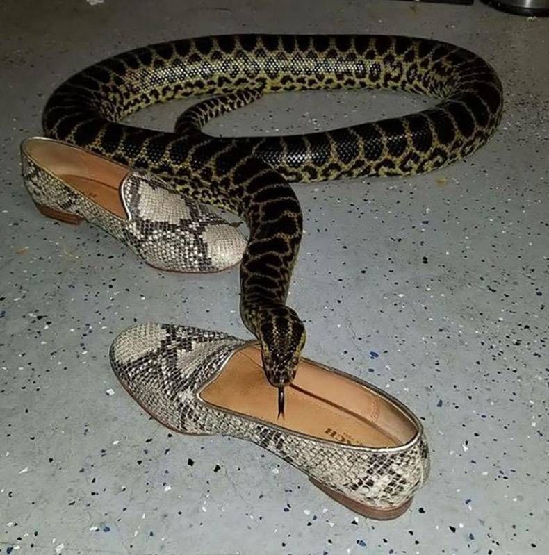 Gewoon een verzameling hilarische foto's #852