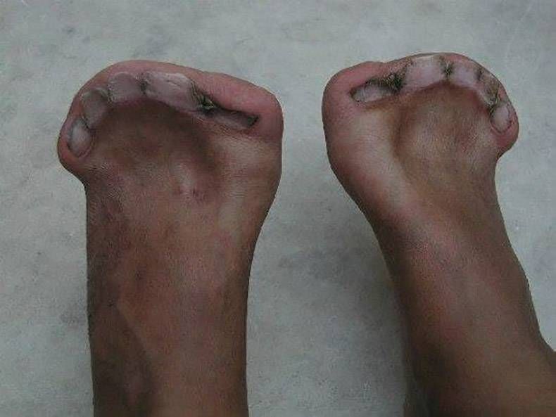 Gewoon een verzameling hilarische foto’s #847