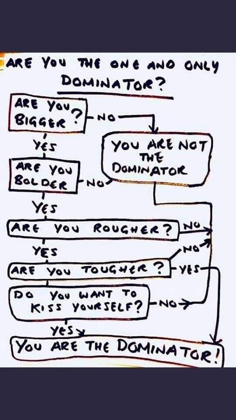 Gewoon een verzameling hilarische foto's #1359