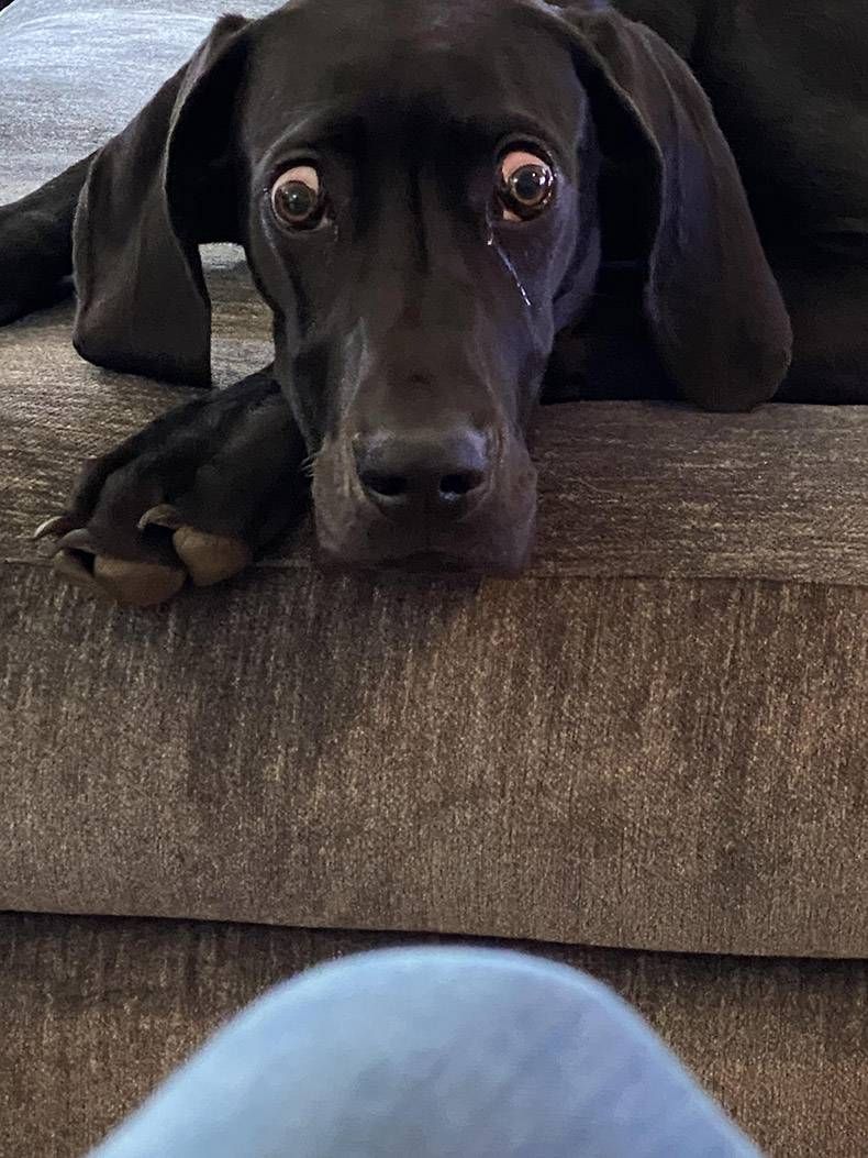 Gewoon een verzameling hilarische foto's #1291