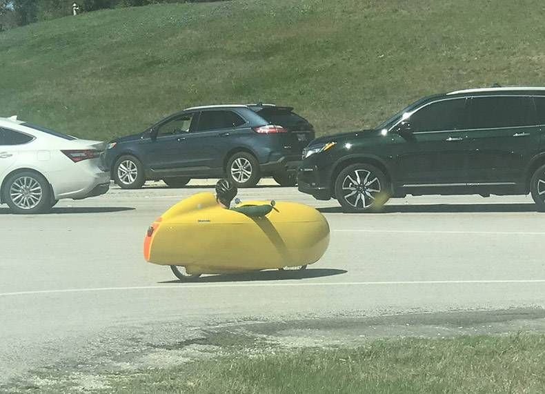 Gewoon een verzameling hilarische foto's #1255