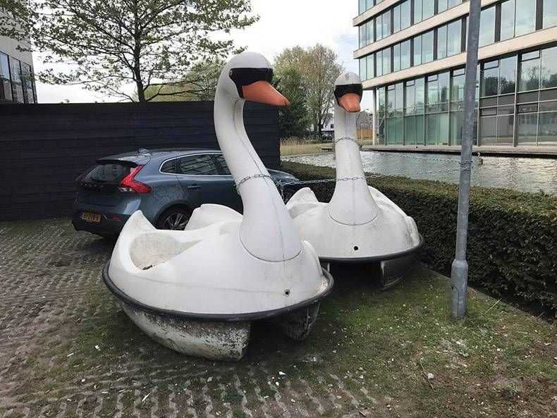 Gewoon een verzameling hilarische foto's #1179