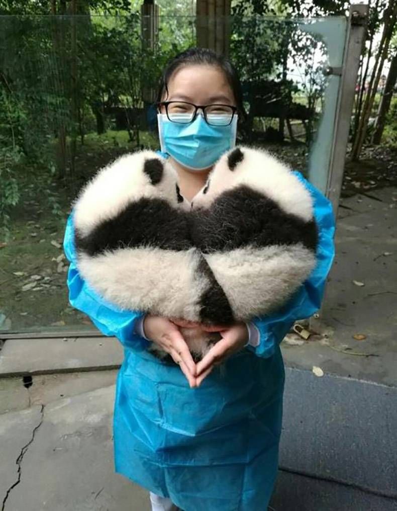 Gewoon een verzameling hilarische foto's #893