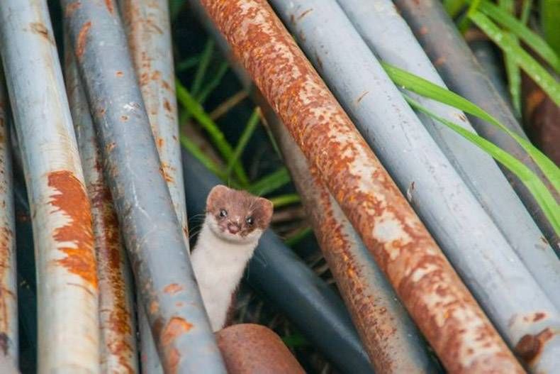 Gewoon een verzameling hilarische foto's #874