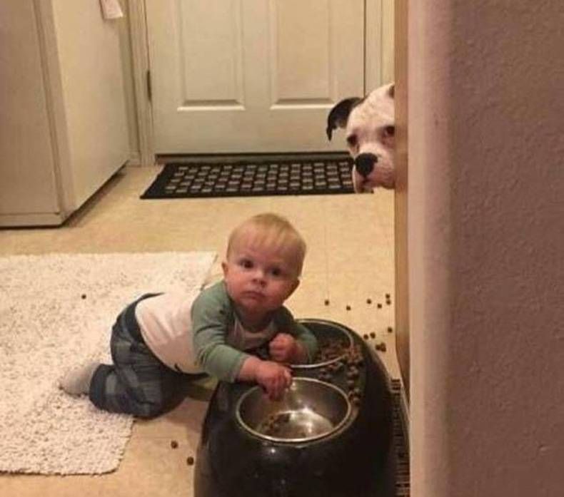 Gewoon een verzameling hilarische foto's #730