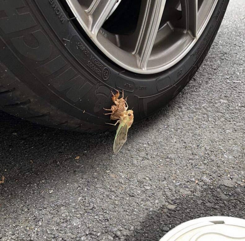 Gewoon een verzameling hilarische foto's #1252