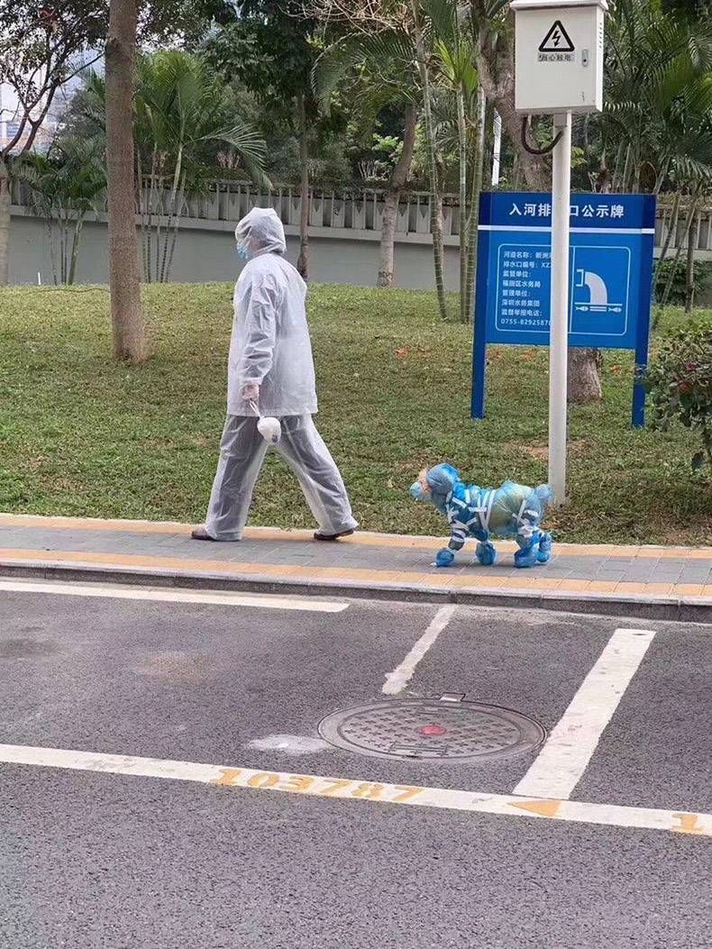 Gewoon een verzameling hilarische foto's #1244