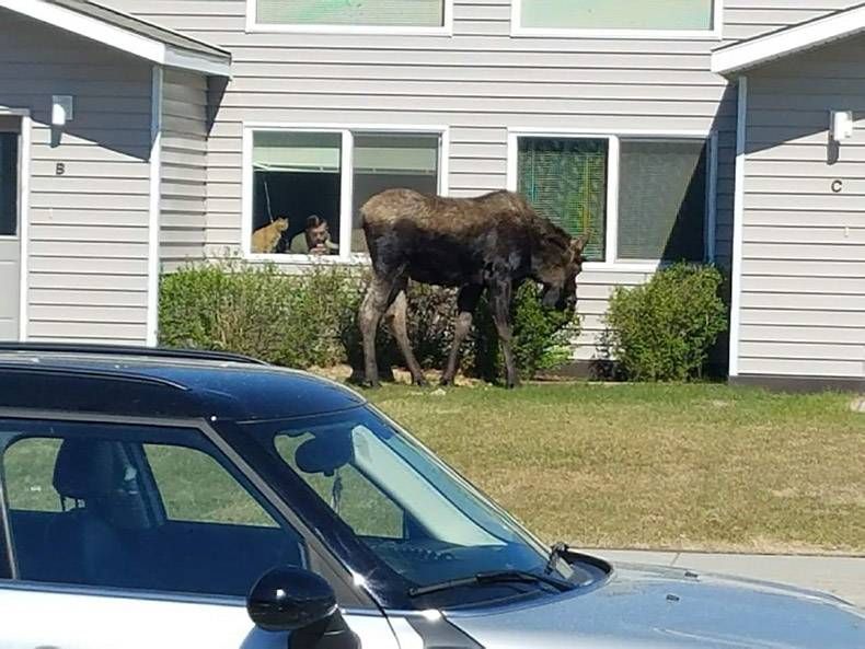 Gewoon een verzameling hilarische foto's #1179