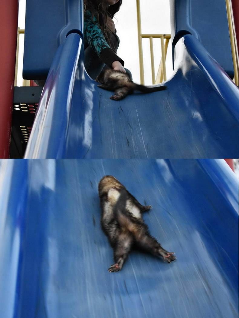 Gewoon een verzameling hilarische foto's #1173