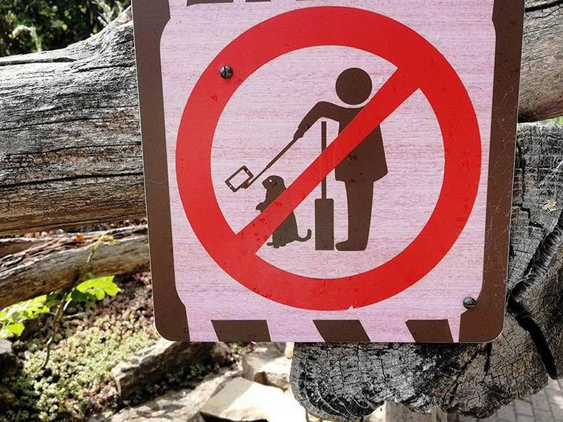 Gewoon een verzameling hilarische foto's #1161