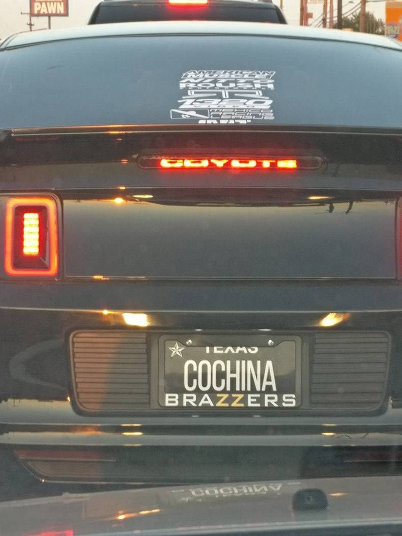 Gewoon een verzameling hilarische foto's #863