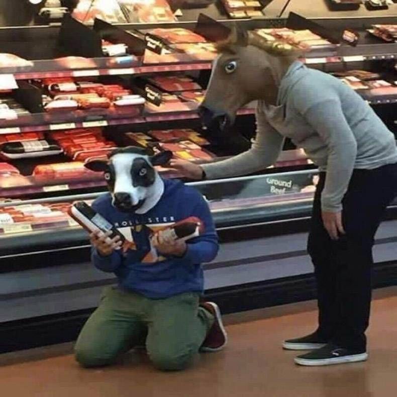 Gewoon een verzameling hilarische foto's #1199