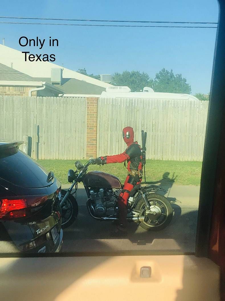 Gewoon een verzameling hilarische foto's #1161