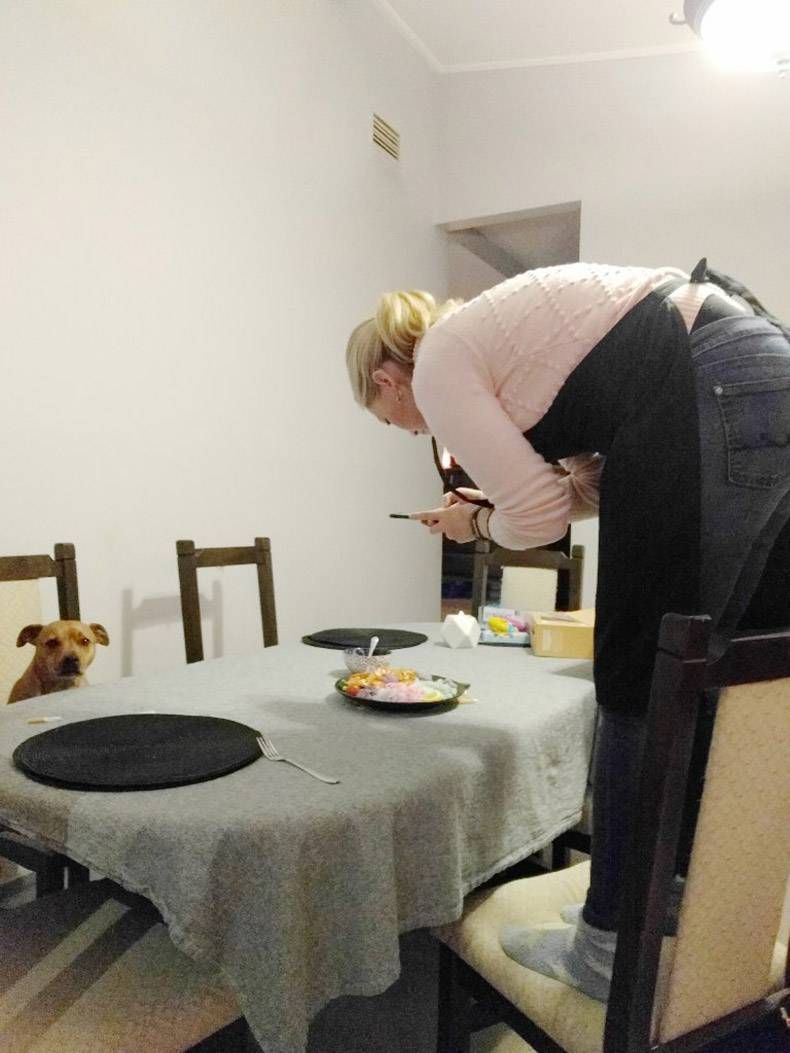 Gewoon een verzameling hilarische foto's #863