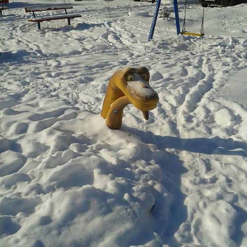 Gewoon een verzameling hilarische foto's #778