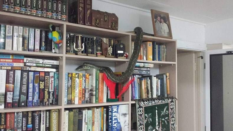 Gewoon een verzameling hilarische foto’s #1322