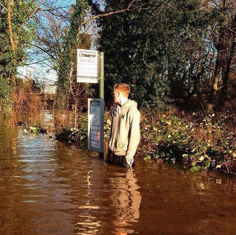 Gewoon een verzameling hilarische foto's #1244