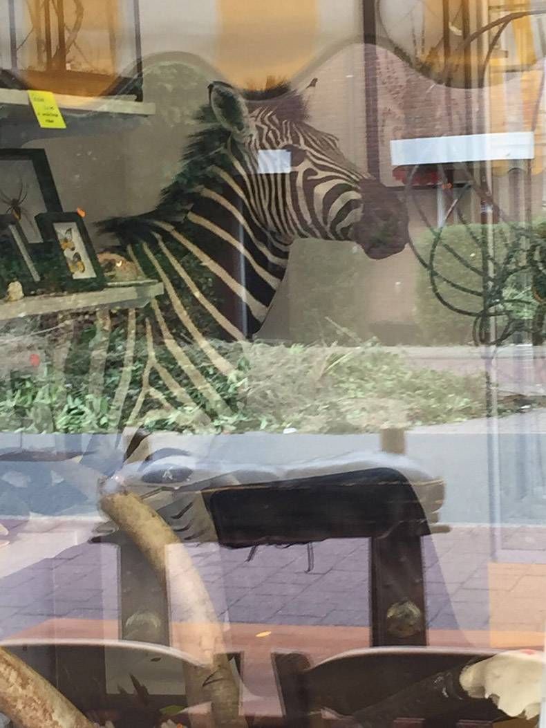 Gewoon een verzameling hilarische foto's #828