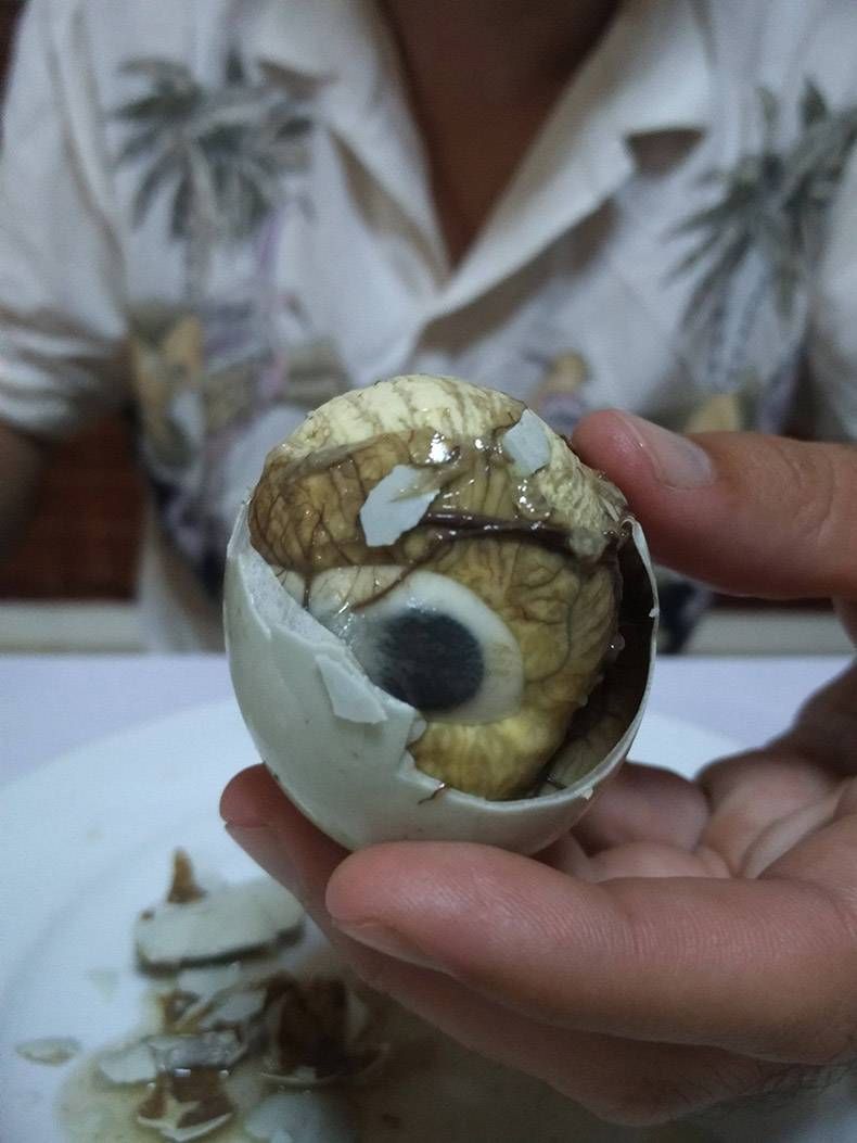 Gewoon een verzameling hilarische foto's #762